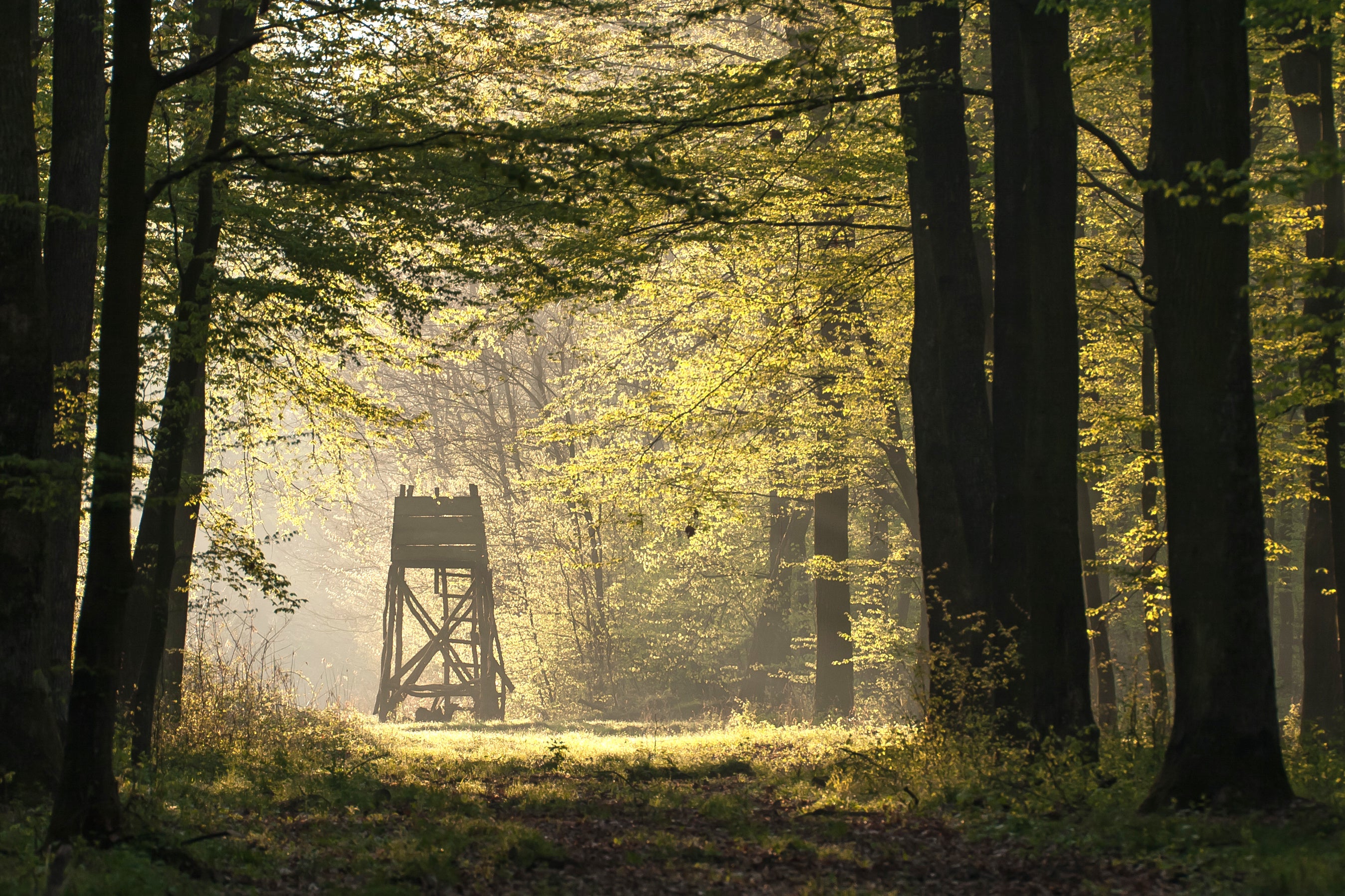 zeitgemäße Ausrüstung für die Jagd - Wildkamera - Jagddrohnen - Jagdfallen